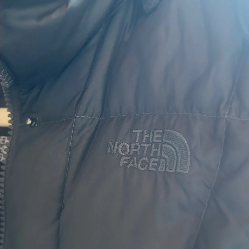 The North Face Charcoal Gray Puffer Coat - Picture 3 of 10
